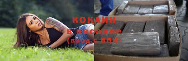 ПСИЛОЦИБИНОВЫЕ ГРИБЫ Алзамай