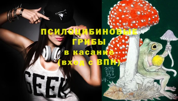 ПСИЛОЦИБИНОВЫЕ ГРИБЫ Алзамай