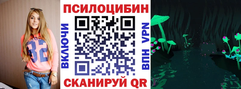 OMG   Саров  Псилоцибиновые грибы ЛСД 