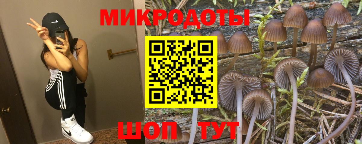 Галлюциногенные грибы Magic Shrooms  Вход с VPN  Саров 